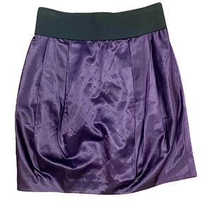 Adam Lippes Purple Silk Skirt Sz 6